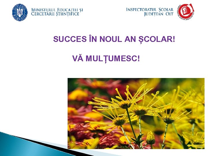 SUCCES ÎN NOUL AN ȘCOLAR! VĂ MULȚUMESC! 
