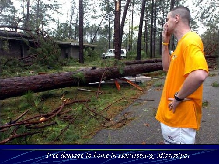 Tree damage to home in Hattiesburg, Mississippi 