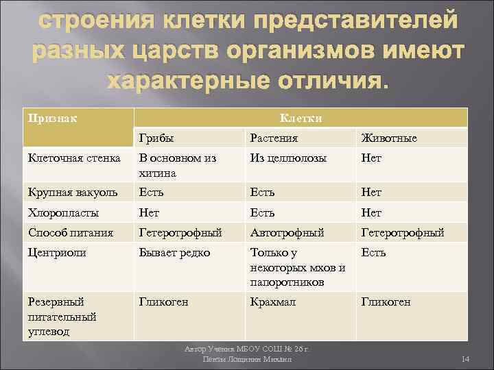 строения клетки представителей разных царств организмов имеют характерные отличия. Признак Клетки Грибы Растения Животные