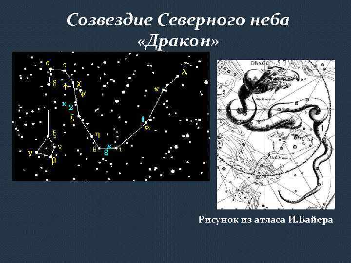 Созвездие Северного неба «Дракон» Рисунок из атласа И. Байера 