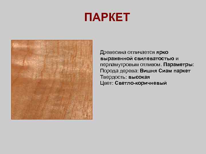 ПАРКЕТ Древесина отличается ярко выраженной свилеватостью и перламутровым отливом. Параметры: Порода дерева: Вишня Сиам