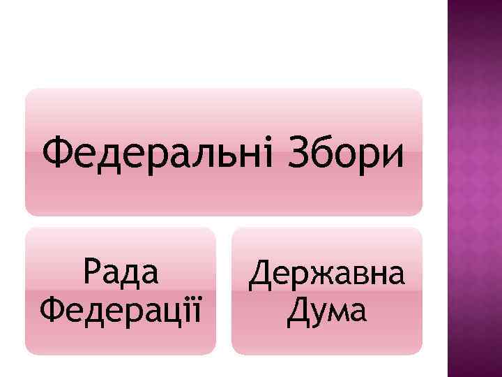 Федеральні Збори Рада Федерації Державна Дума 