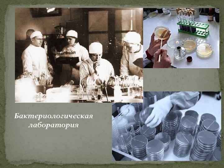 Бактериологическая лаборатория 