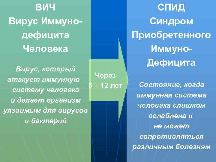 ВИЧ Вирус Иммунодефицита Человека Вирус, который Через атакует иммунную 5 – 12 лет систему