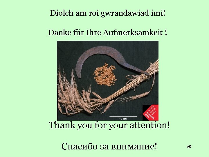 Diolch am roi gwrandawiad imi! Danke für Ihre Aufmerksamkeit ! Thank you for your