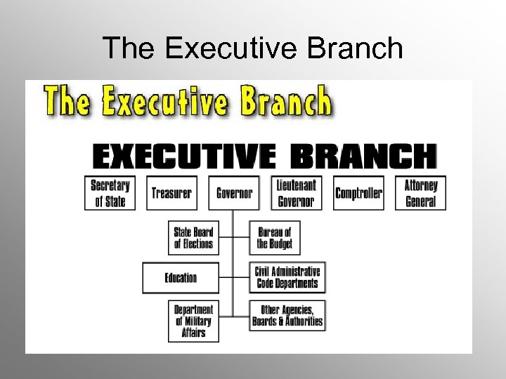 The Executive Branch 