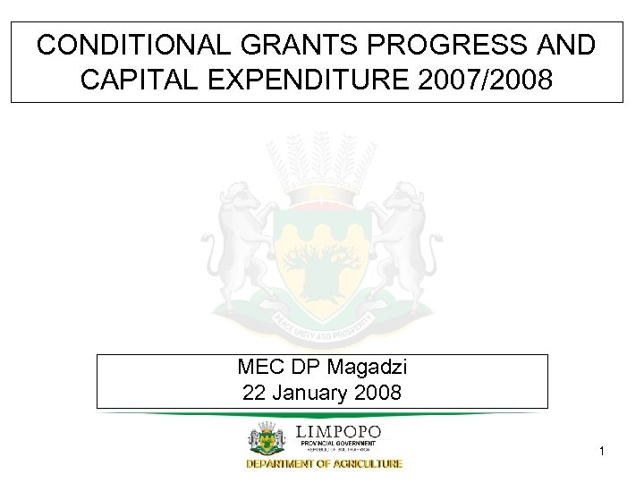 CONDITIONAL GRANTS PROGRESS AND CAPITAL EXPENDITURE 2007/2008 MEC DP Magadzi 22 January 2008 1
