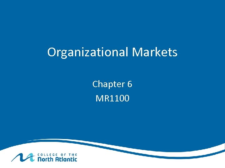 Organizational Markets Chapter 6 MR 1100 