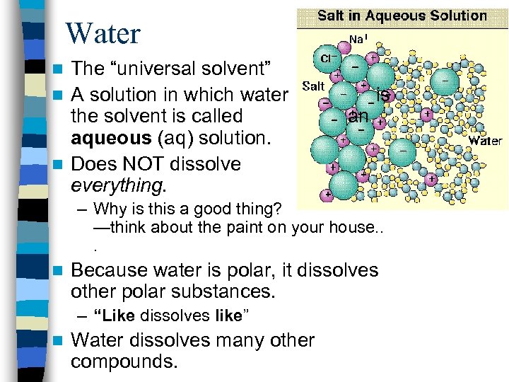 Water The “universal solvent” n A solution in which water is the solvent is