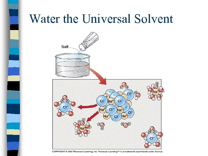 Water the Universal Solvent 