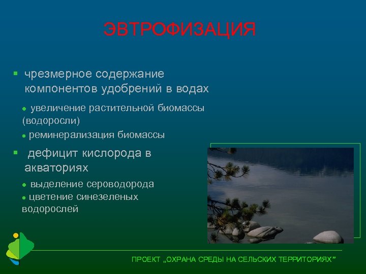 ЭВТРОФИЗАЦИЯ § чрезмерное содержание компонентов удобрений в водах увеличение растительной биомассы (водоросли) l реминерализация