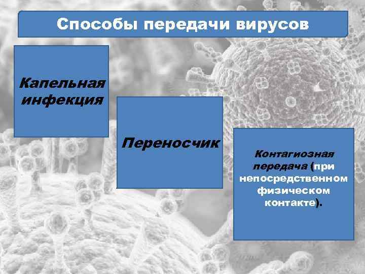 Способы передачи вирусов Капельная инфекция Переносчик Контагиозная передача (при непосредственном физическом контакте). 