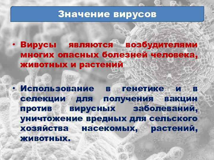 Значение вирусов • Вирусы являются возбудителями многих опасных болезней человека, животных и растений •