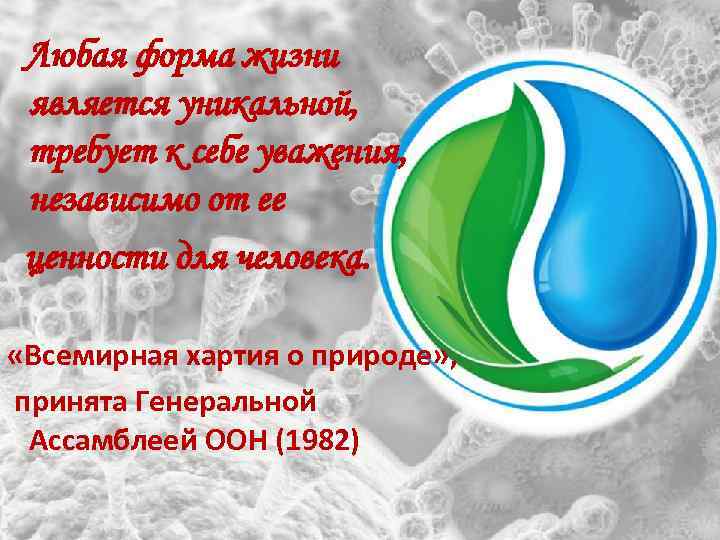 Любая форма жизни является уникальной, требует к себе уважения, независимо от ее ценности для