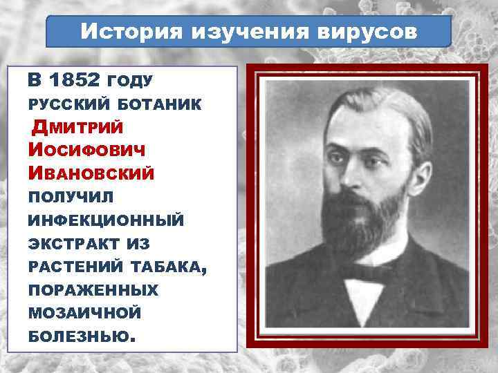 История изучения вирусов В 1852 ГОДУ РУССКИЙ БОТАНИК ДМИТРИЙ ИОСИФОВИЧ ИВАНОВСКИЙ ПОЛУЧИЛ ИНФЕКЦИОННЫЙ ЭКСТРАКТ