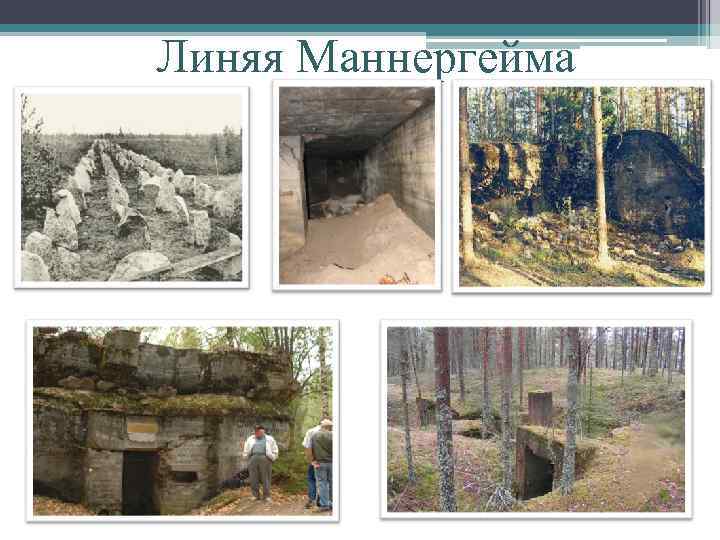 Линяя Маннергейма 