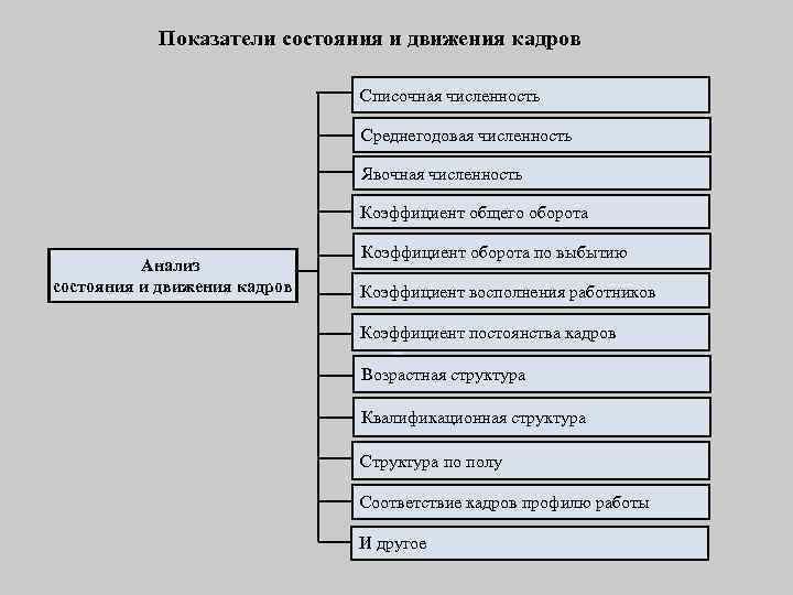 Показатели состояния и движения кадров Списочная численность Среднегодовая численность Явочная численность Коэффициент общего оборота