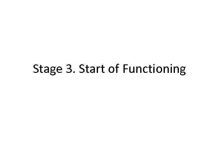Stage 3. Start of Functioning 