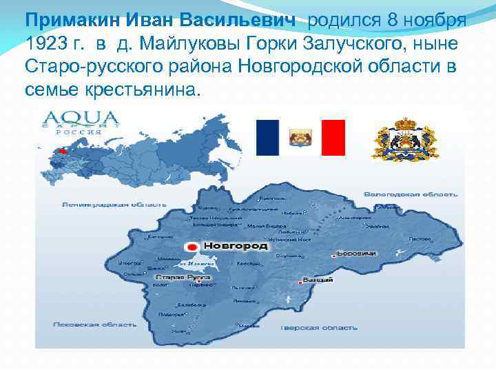 Примакин Иван Васильевич родился 8 ноября 1923 г. в д. Майлуковы Горки Залучского, ныне