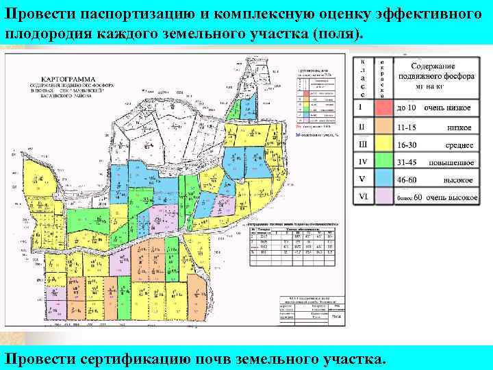 Провести паспортизацию и комплексную оценку эффективного плодородия каждого земельного участка (поля). Провести сертификацию почв