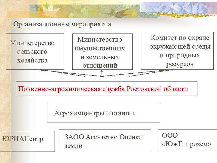 Организационные мероприятия Министерство сельского хозяйства Министерство имущественных и земельных отношений Комитет по охране окружающей