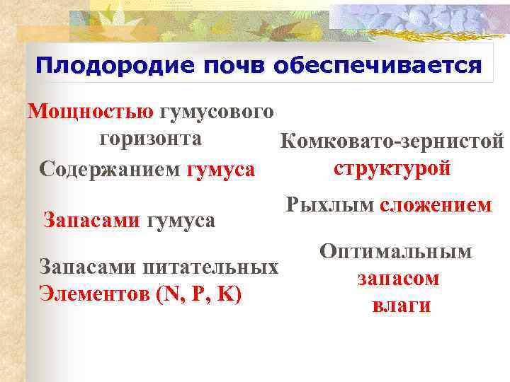 Плодородие почв обеспечивается Мощностью гумусового горизонта Комковато-зернистой структурой Содержанием гумуса Запасами питательных Элементов (N,