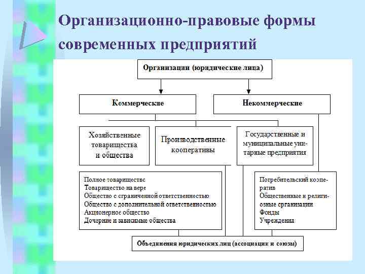 Организационно правовая форма юридического лица виды