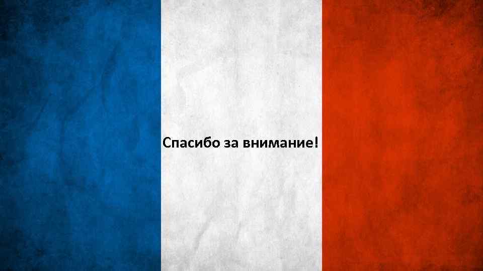 Спасибо за внимание! 16 