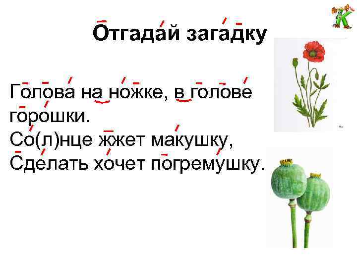 Отгадай загадку Голова на ножке, в голове горошки. Со(л)нце жжет макушку, Сделать хочет погремушку.