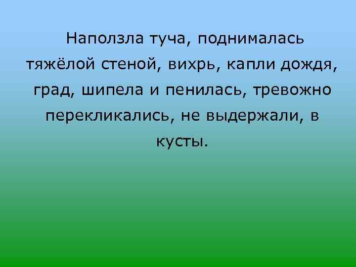 Наползла туча, поднималась тяжёлой стеной, вихрь, капли дождя, град, шипела и пенилась, тревожно перекликались,