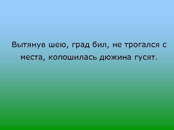 Вытянув шею, град бил, не трогался с места, копошилась дюжина гусят. 