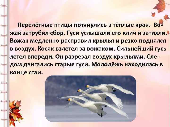 Перелётные птицы потянулись в тёплые края. Вожак затрубил сбор. Гуси услышали его клич и