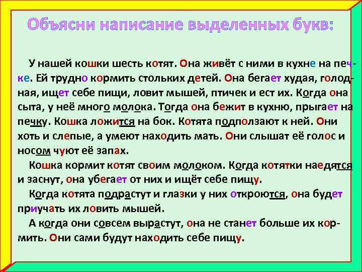Объясни написание выделенных букв: У нашей кошки шесть котят. Она живёт с ними в