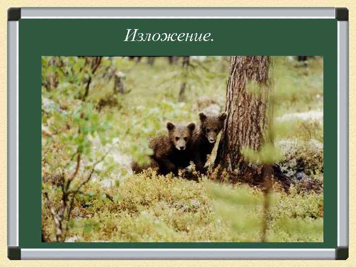 Изложение. 