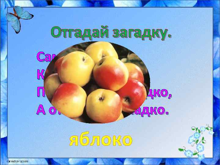 Отгадай загадку. Само с кулачок, Красный бочок, Потрогаешь - гладко, А откусишь - сладко.