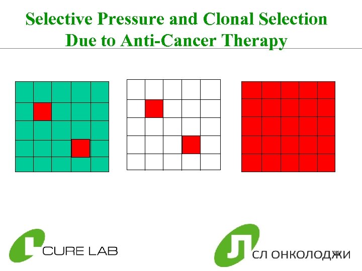 Selective Pressure and Clonal Selection Due to Anti-Cancer Therapy 13 