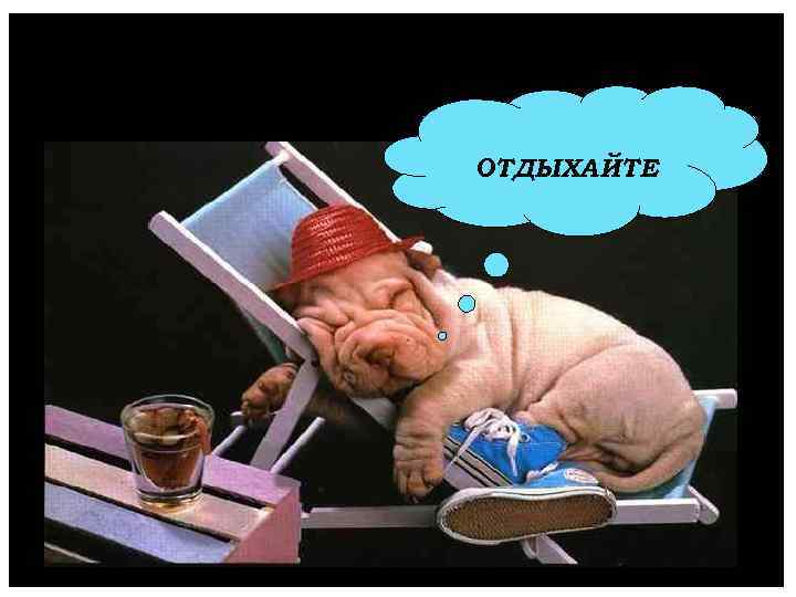 СПАСИБО ЗА ВНИМАНИЕ ОТДЫХАЙТЕ 71 