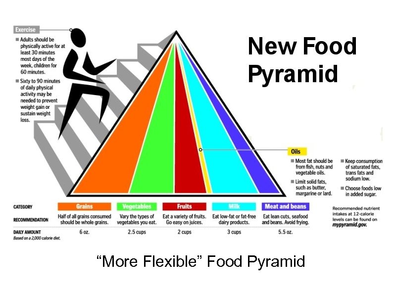 “More Flexible” Food Pyramid 