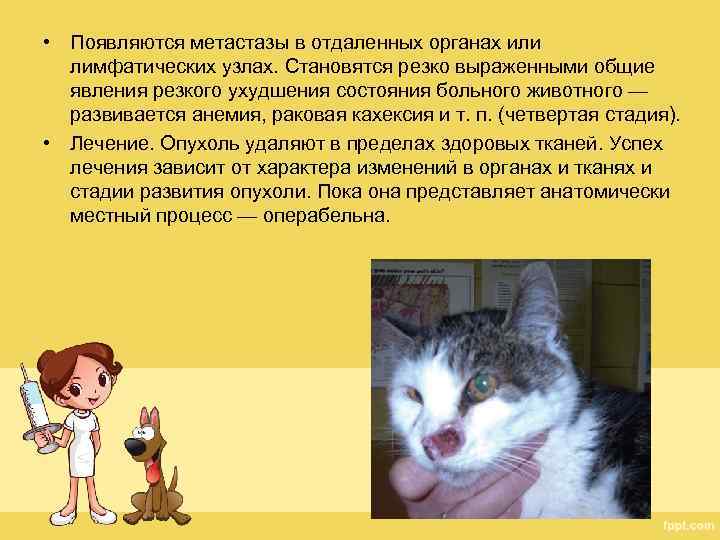  • Появляются метастазы в отдаленных органах или лимфатических узлах. Становятся резко выраженными общие