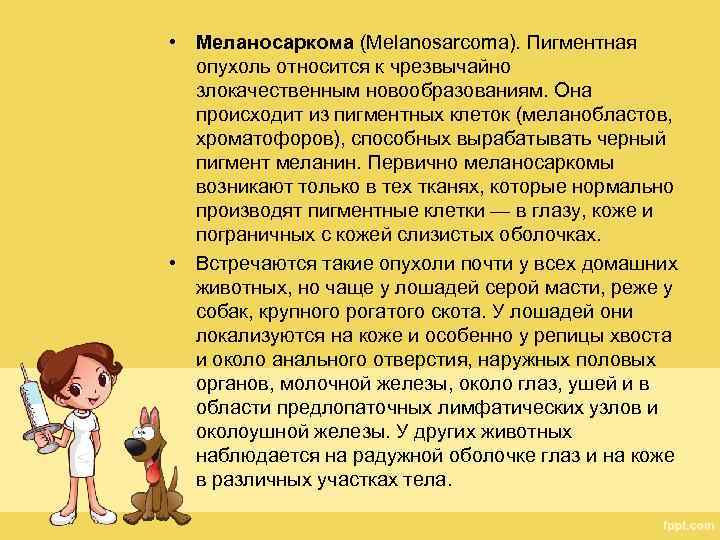  • Меланосаркома (Melanosarcoma). Пигментная опухоль относится к чрезвычайно злокачественным новообразованиям. Она происходит из