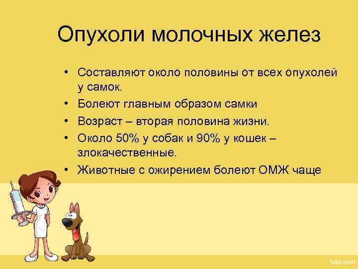 Опухоли молочных желез • Составляют около половины от всех опухолей у самок. • Болеют