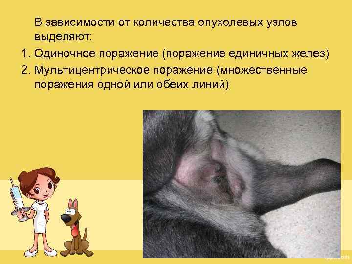 В зависимости от количества опухолевых узлов выделяют: 1. Одиночное поражение (поражение единичных желез) 2.