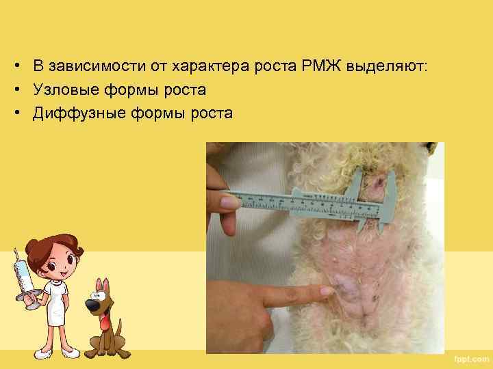  • В зависимости от характера роста РМЖ выделяют: • Узловые формы роста •