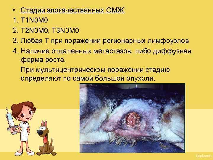  • Стадии злокачественных ОМЖ: 1. T 1 N 0 M 0 2. T