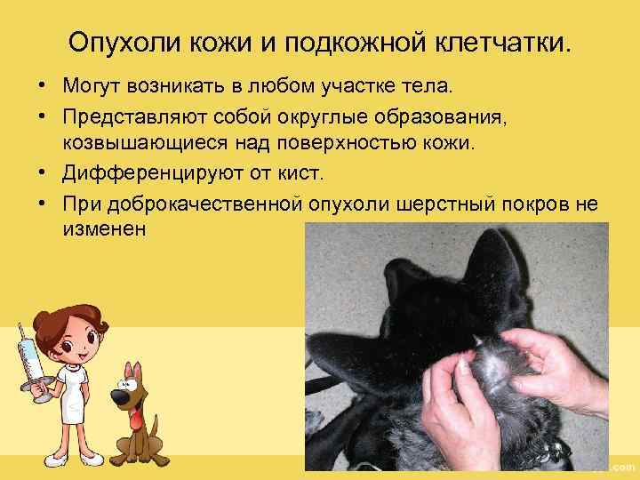 Опухоли кожи и подкожной клетчатки. • Могут возникать в любом участке тела. • Представляют