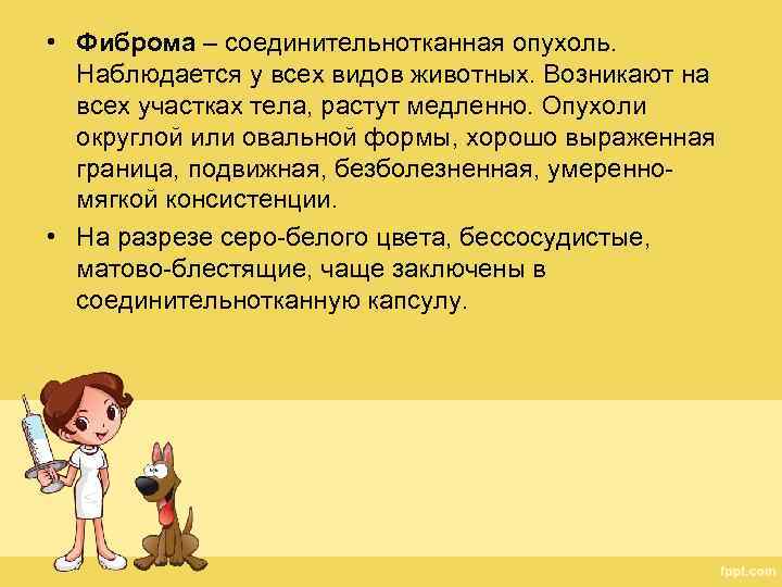  • Фиброма – соединительнотканная опухоль. Наблюдается у всех видов животных. Возникают на всех