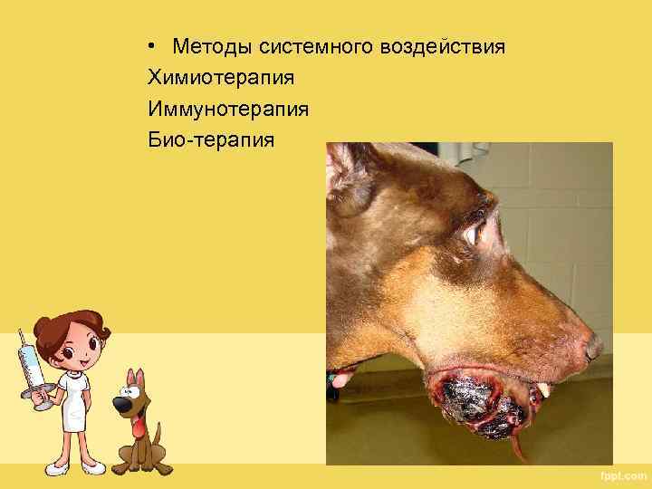  • Методы системного воздействия Химиотерапия Иммунотерапия Био-терапия 