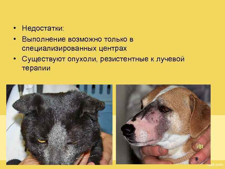  • Недостатки: • Выполнение возможно только в специализированных центрах • Существуют опухоли, резистентные