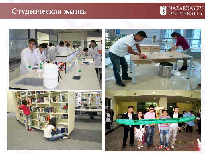 Студенческая жизнь 