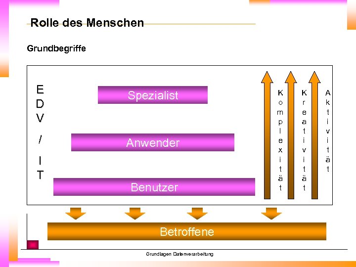 Rolle des Menschen Grundbegriffe E D V / I T Spezialist Anwender Benutzer Betroffene